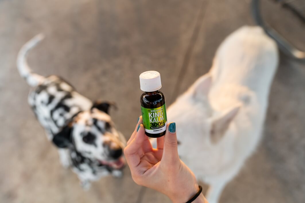 CBD Oil for dog