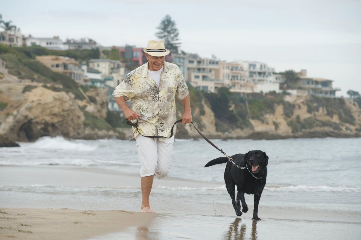 Walking Your Dogs: How Much Exercise Does A Dog Need Every Day?