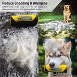 Reduce Shedding & Allergens