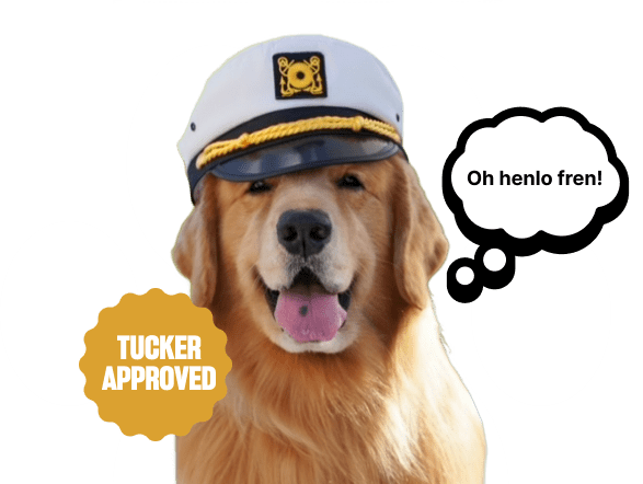 Dog Image