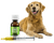 King Kalm 300 rx CBD Oil for Dogs