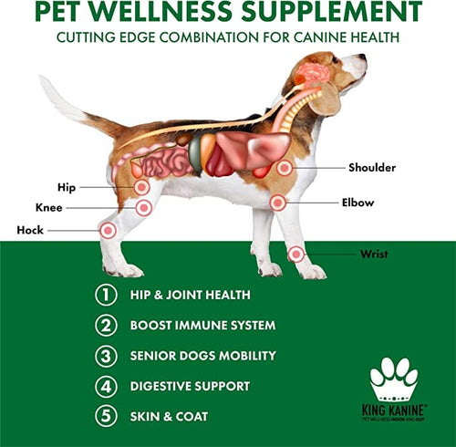 Pet Wellness Supplement For Optimal Health