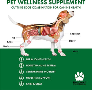 Pet Wellness Supplement For Optimal Health 