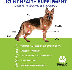 dog joint health supplement