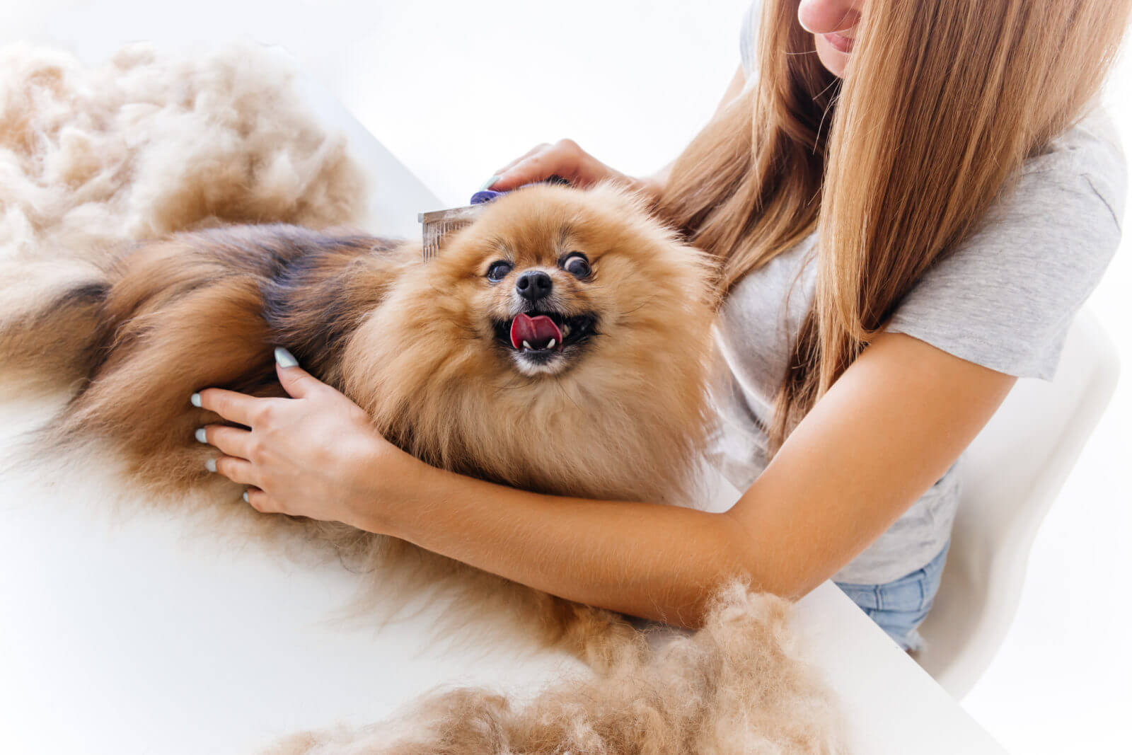 5 Common Mistakes People Make When Grooming Their Pet | King Kanine