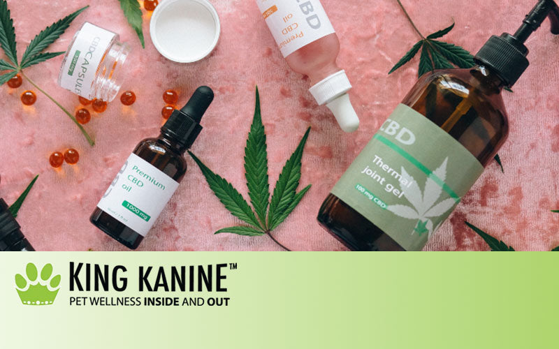 8 Best CBD Oils for Pets to Buy Online [2022 Update]