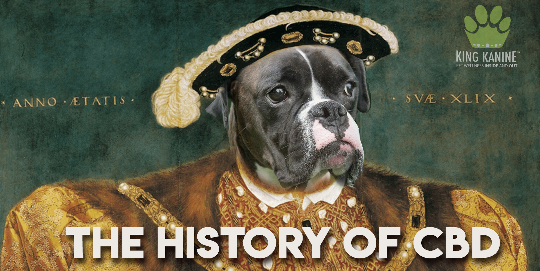 Any Idea When CBD Dates Back To? Here's a Brief History of CBD