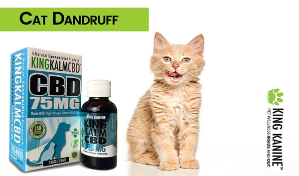Guide on Cats Dandruff