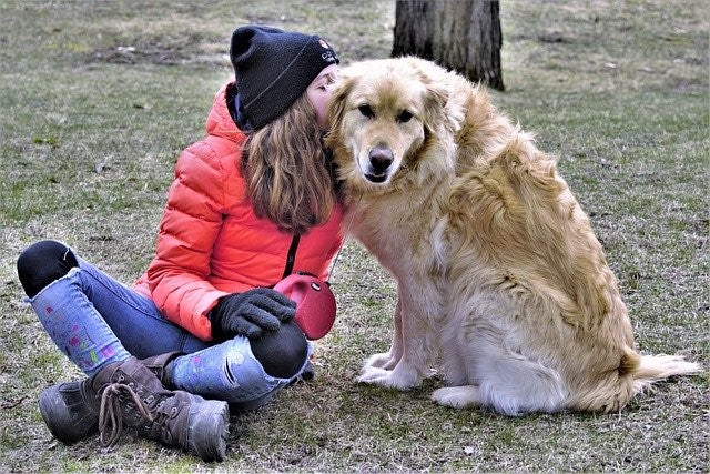 Dog Chiropractors - When Is It Time To Take Your Pet To a Dog Chiropractor