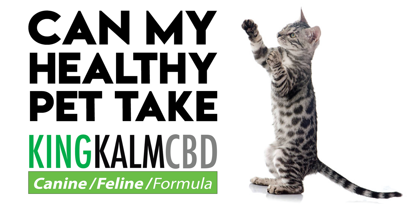 Can My Healthy Pet Take CBD?