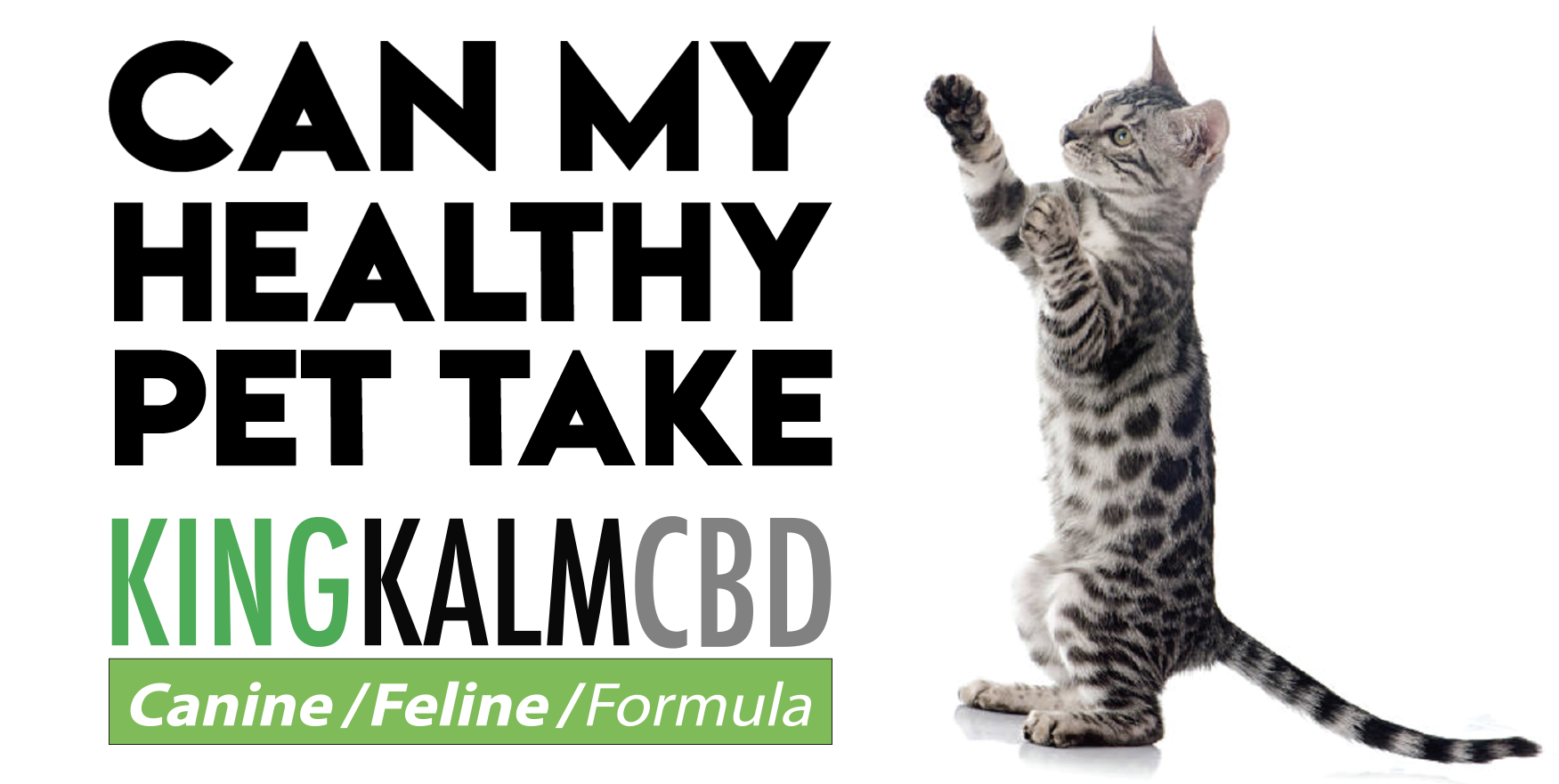 Can My Healthy Pet Take CBD?