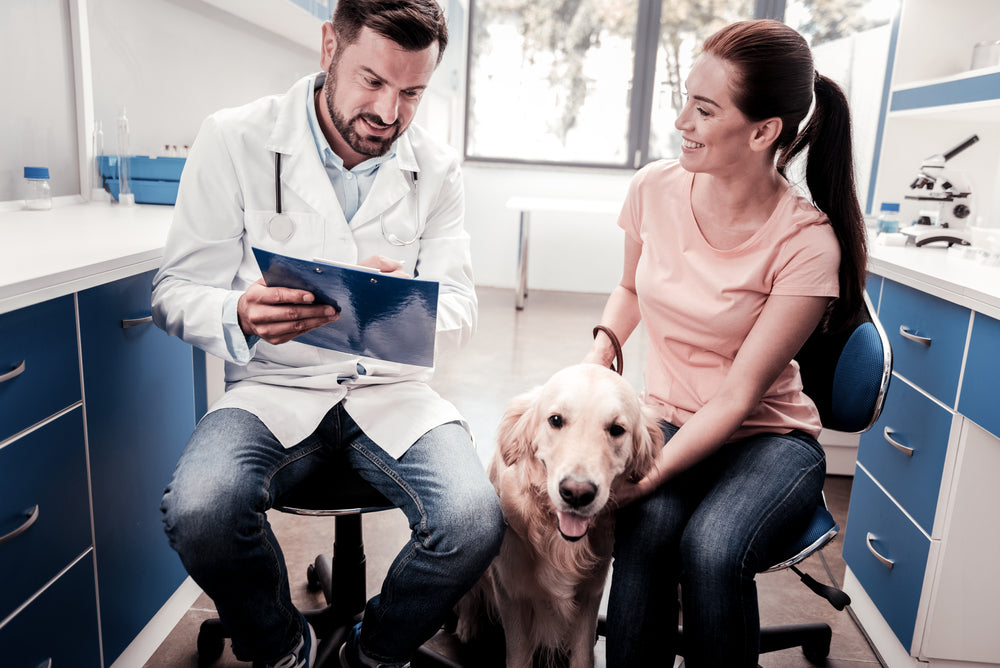 How To Register An Emotional Support Animal