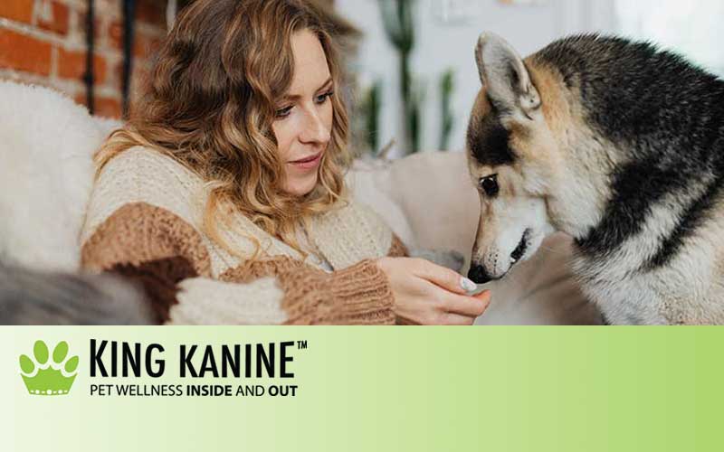 What Are CBD Treats For Dogs | King Kanine