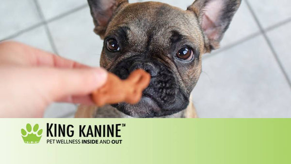 Cbd Chews Safe For Dogs