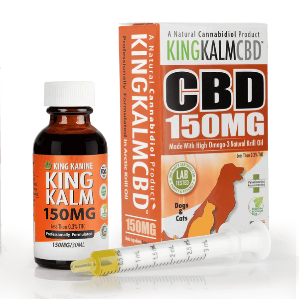 Best CBD Oil for Dogs