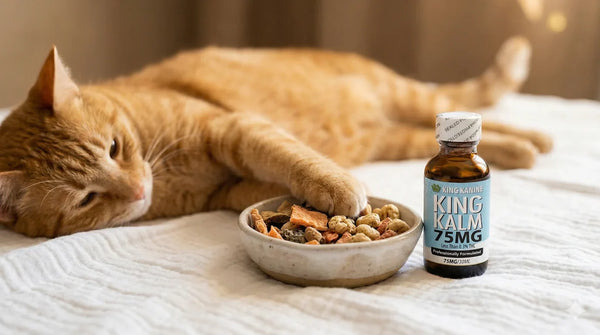 Orange cat lying next to bowl of calming treats and King Kalm CBD 75mg bottle