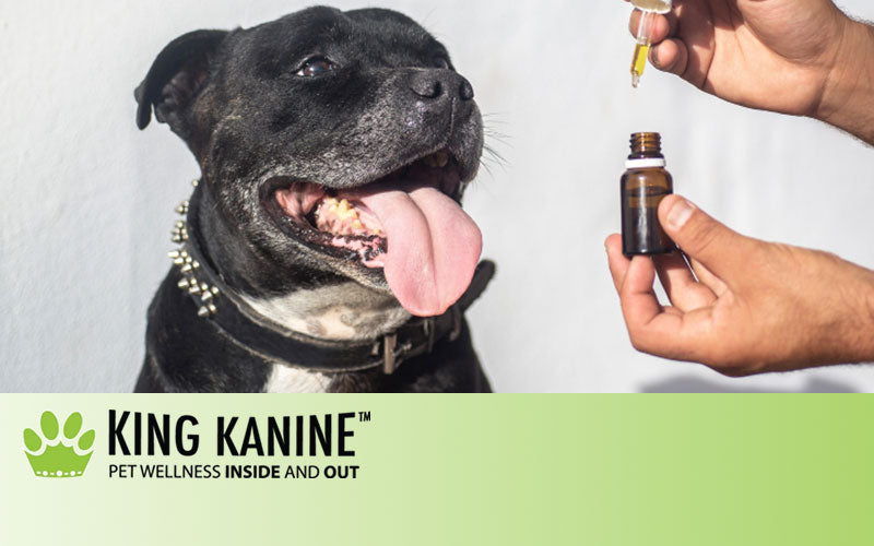 can cbd oil cause elevated liver enzymes in dogs