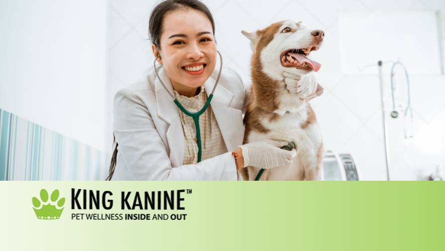 Full Spectrum Vs Broad Spectrum Cbd For Dogs