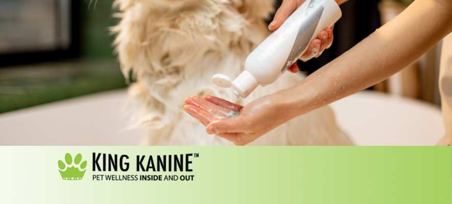 Dog Shampoo Banner
