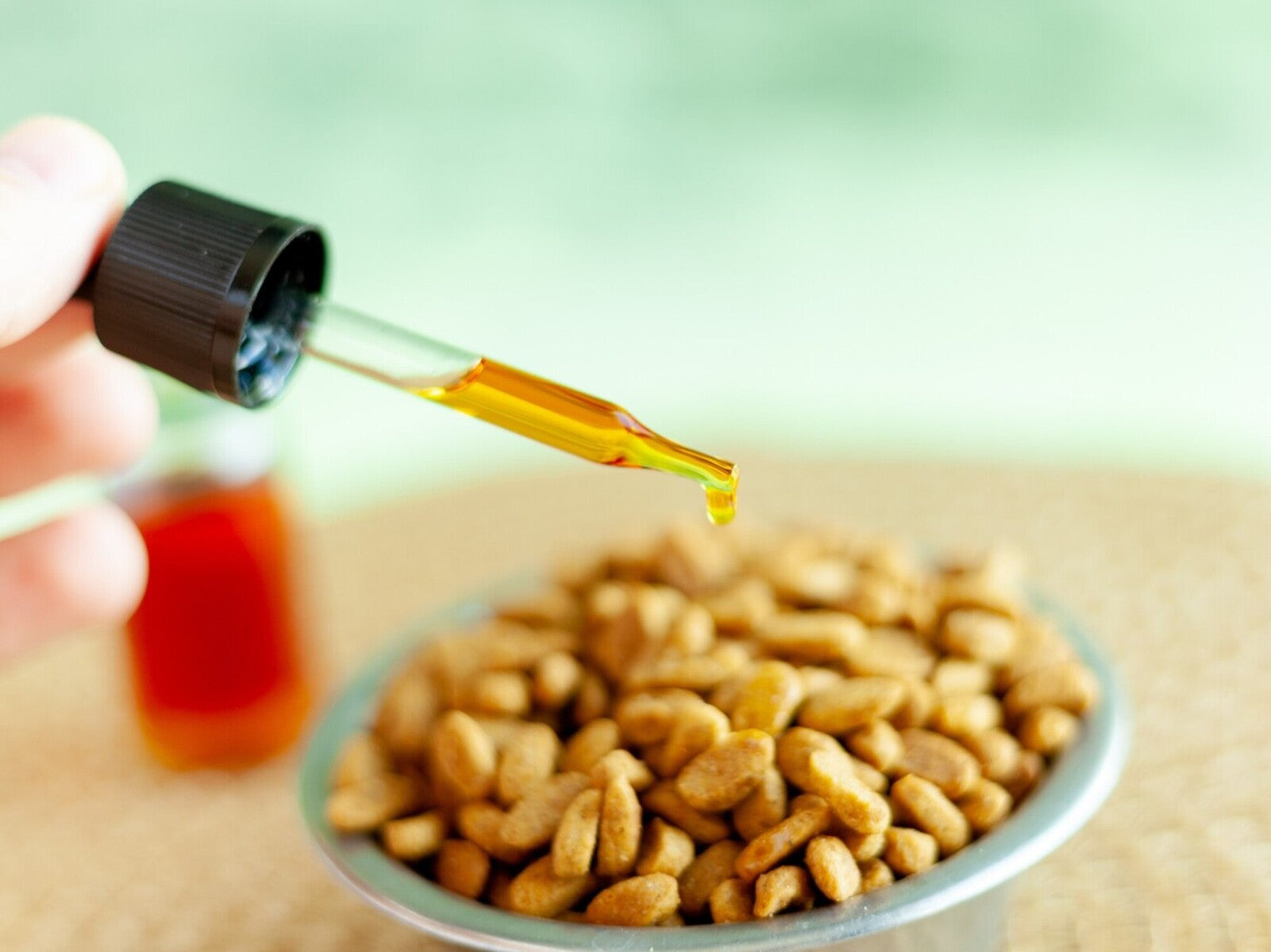 best CBD for cats pain