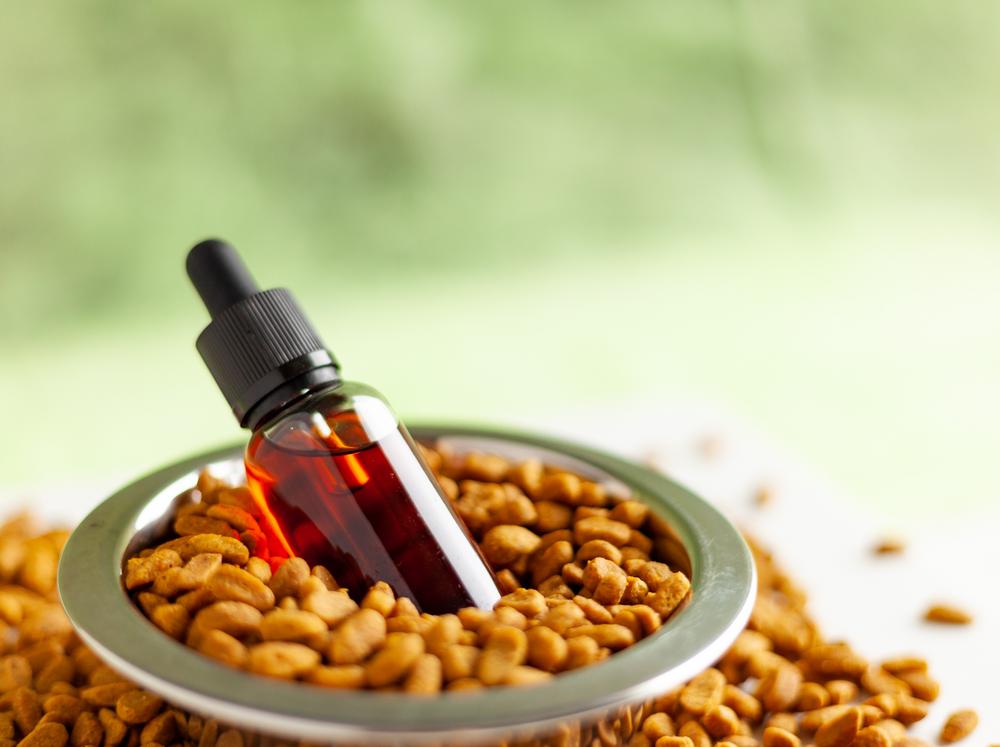 are CBD treats good for dogs