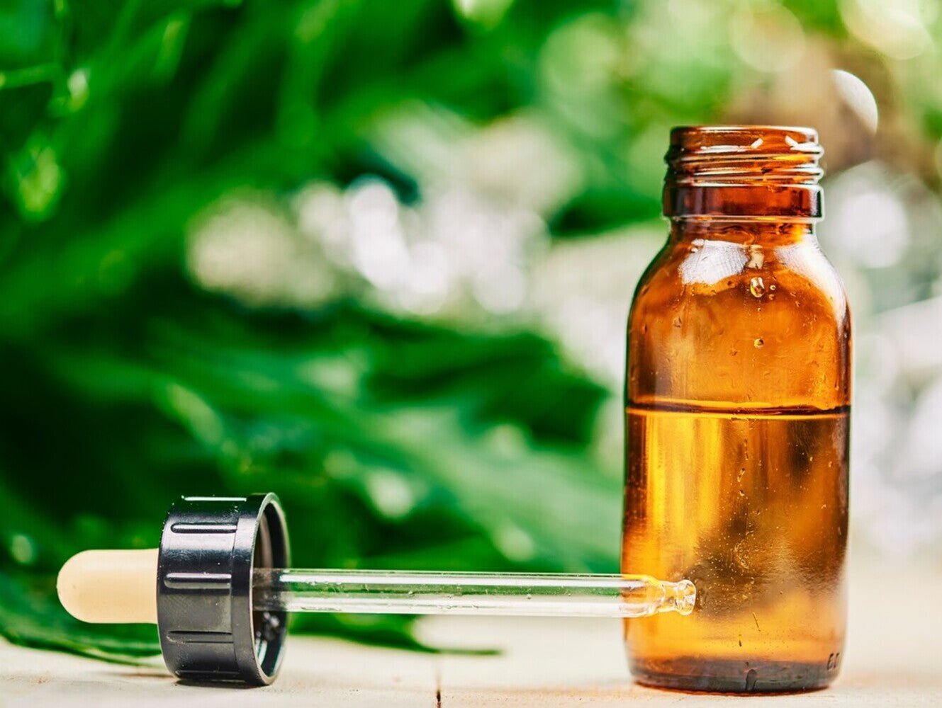 where to get CBD for cats