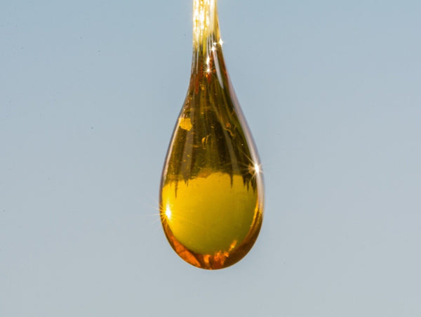 is hemp oil good for dogs