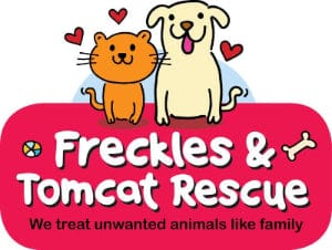 Freckles & Tom Cat Rescue MT