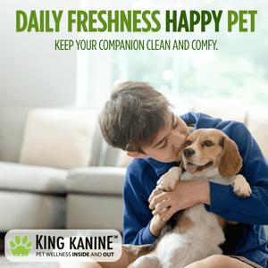 KING KLEAN In Between Bath (Pet Odor Eliminator) Spray
