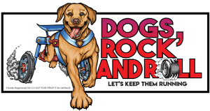 Dogs Rock