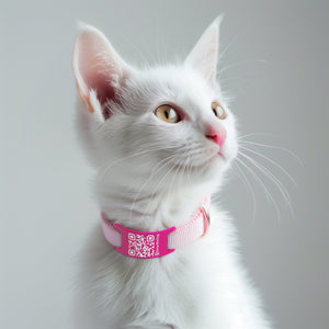 Smart Pet Tags - Custom engraved with your pets important ID