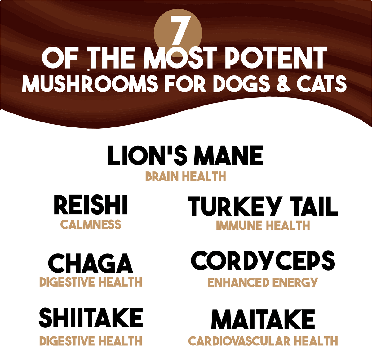 Mushroom Plus+ Healthy Supplement for Dogs &amp; Cats