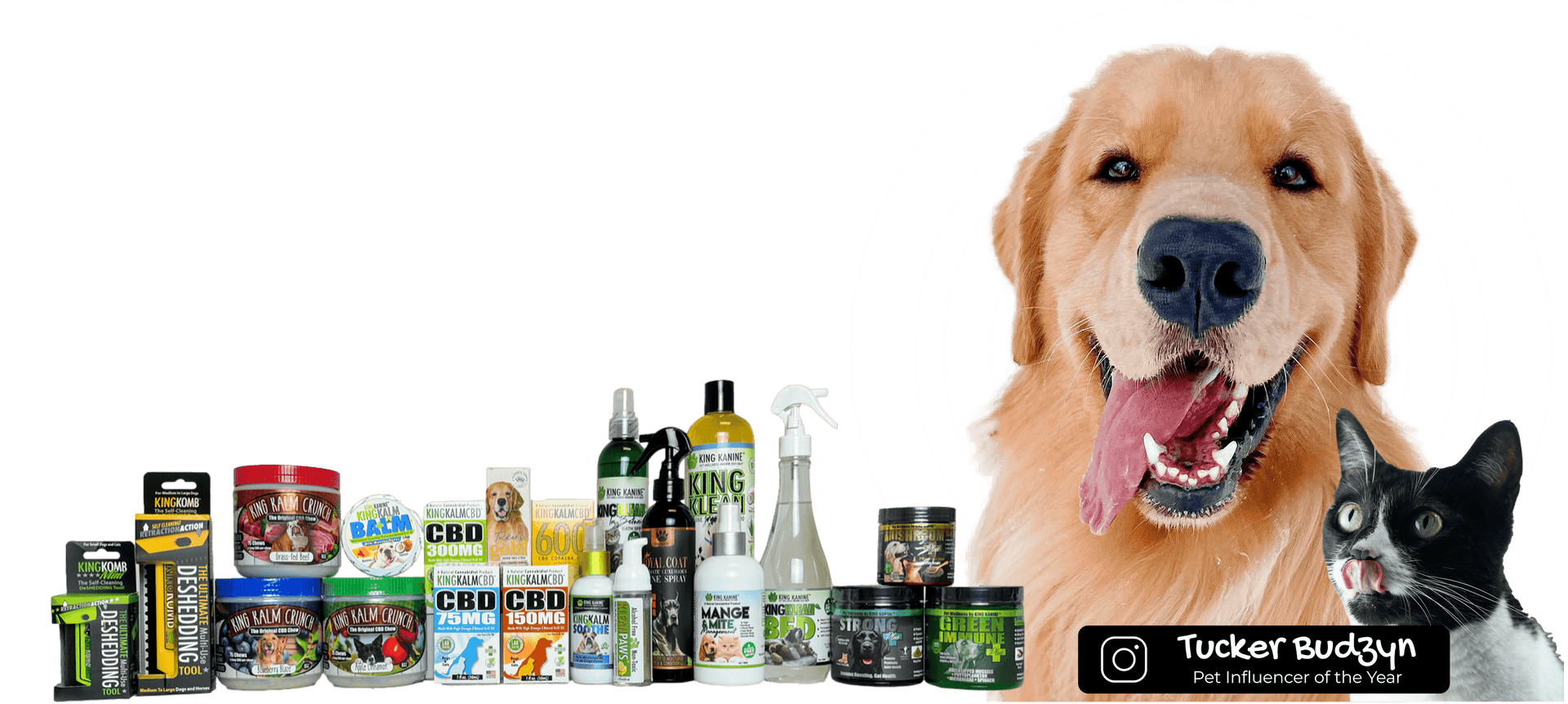 More Than CBD — A Full Line for Your Pet's Health
