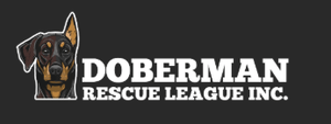 Doberman Rescue