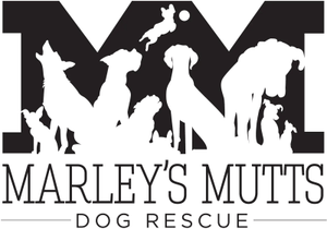 Marley's Mutts