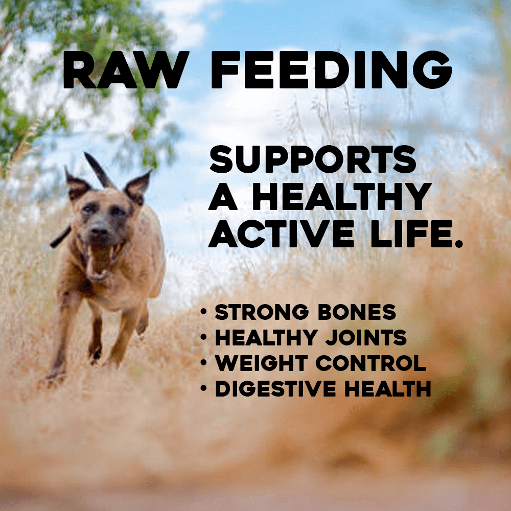 Feeding dogs high quality raw liver