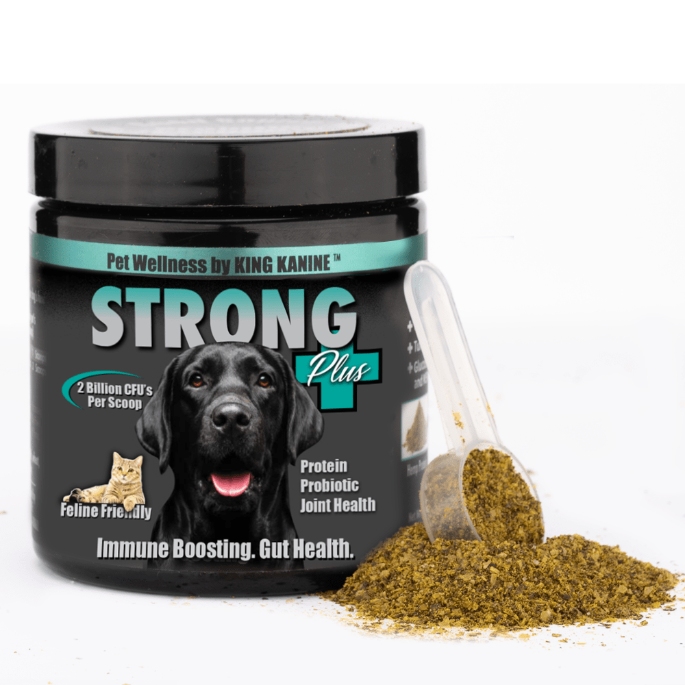 Probiotic plus online for dogs