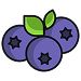 Blueberry