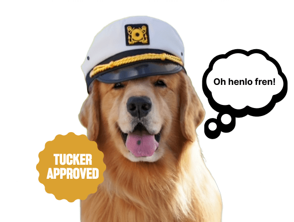 Tuckers Gold 1000mg CBD Oil for Dogs and Cats