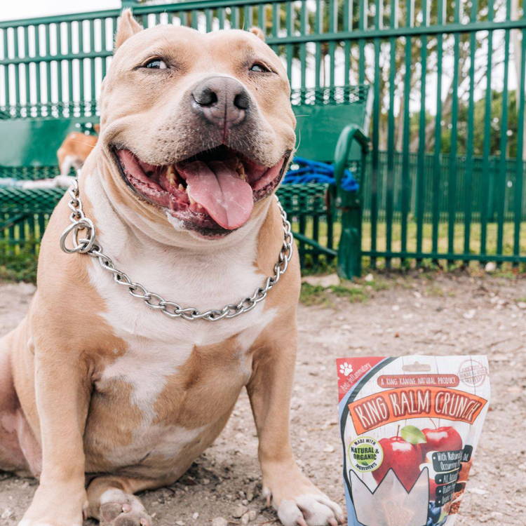 Dog With King Kalm Crunch