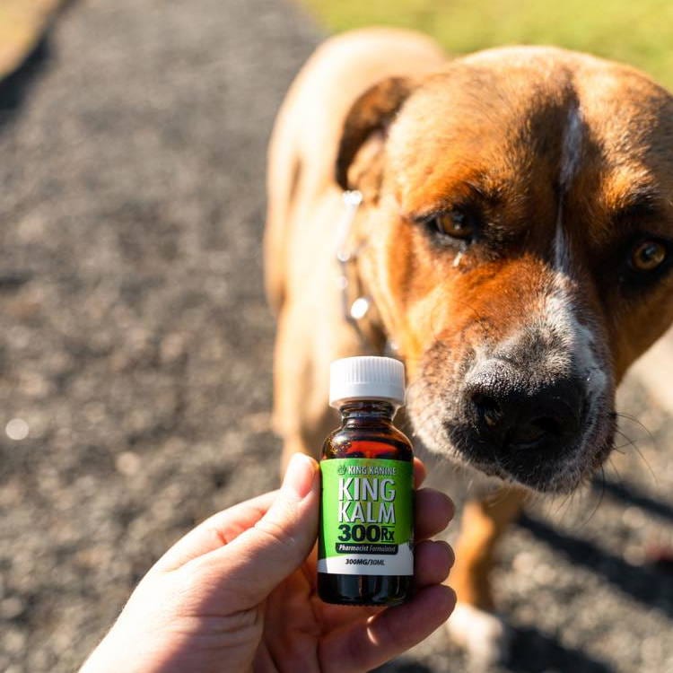 King Kalm Cbd 300mg For Dog