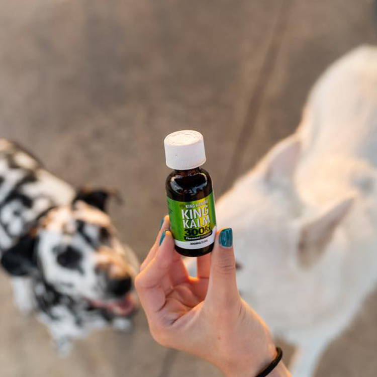 King Kalm 300 mg For Dog