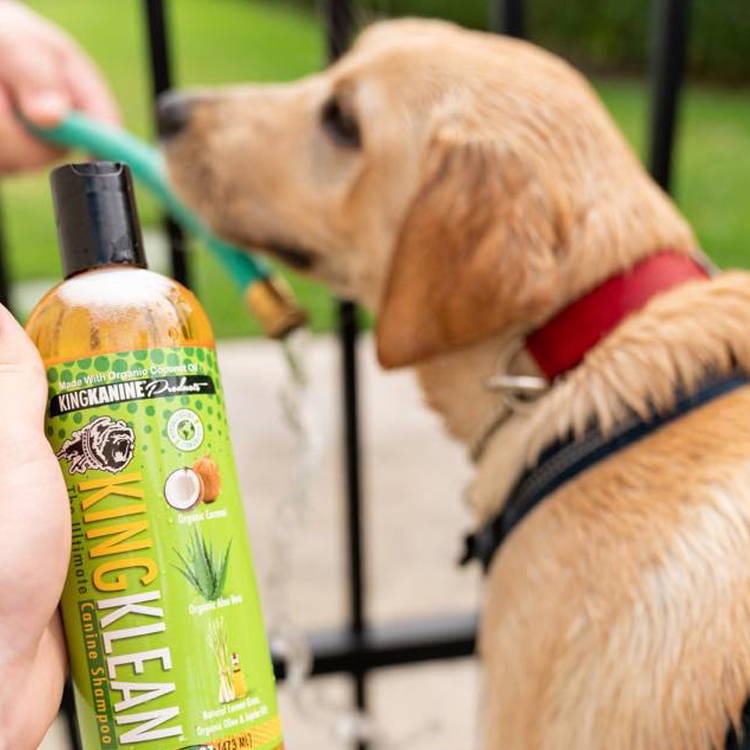 King Klean Canino Shampoo For Dog