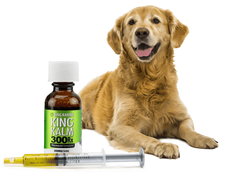 King Kalm 300 rx CBD Oil for Dogs