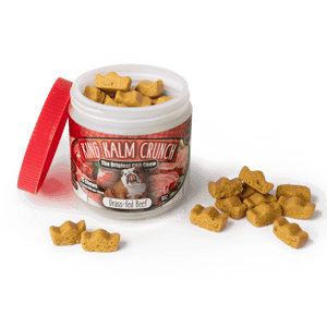 KING KALM Crunch CBD treats - Grass Fed Beef
