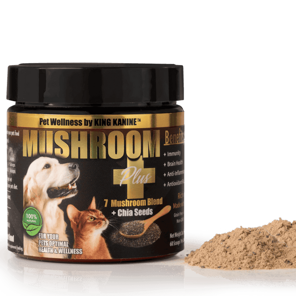 Mushroom Plus+ Healthy Supplement for Dogs & Cats
