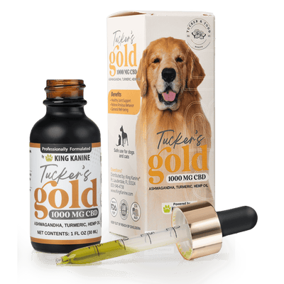 Tucker's Gold 1000MG CBD oil bottle with dropper, featuring a golden label and a box, alongside a golden retriever.