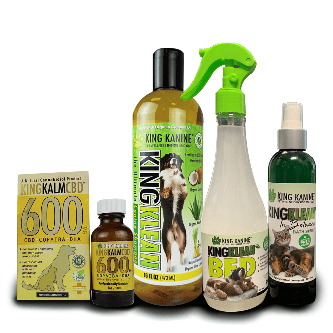 600mg + Shampoo + Bed + In-Between = Fresh Kombo