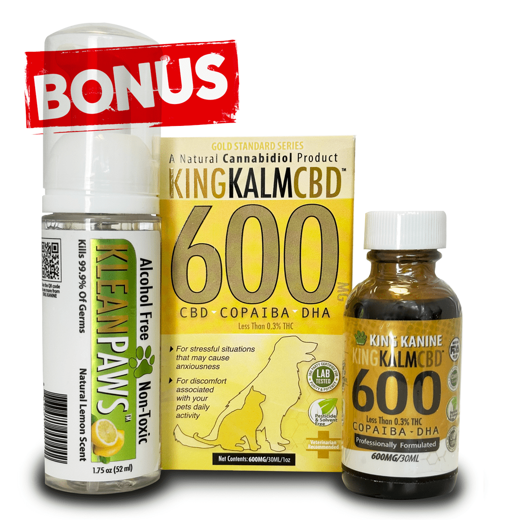 King Kalm CBD 600mg FREE Klean Paws 65lbs or more King Kanine