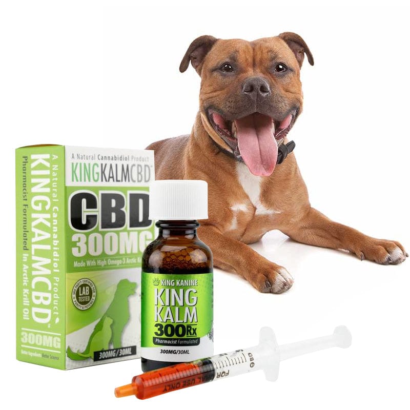 KING KALM CBD 300mg for Pitbulls
